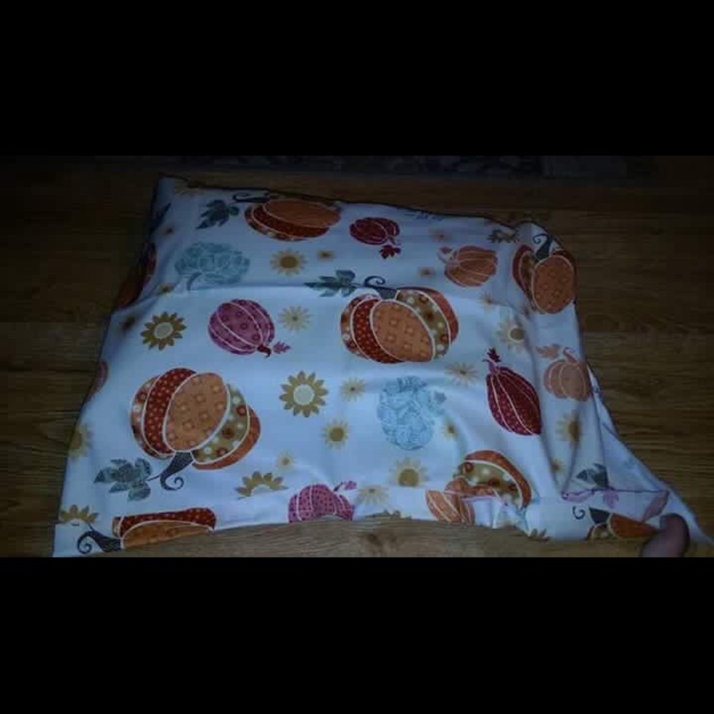 Thanksgiving pillow